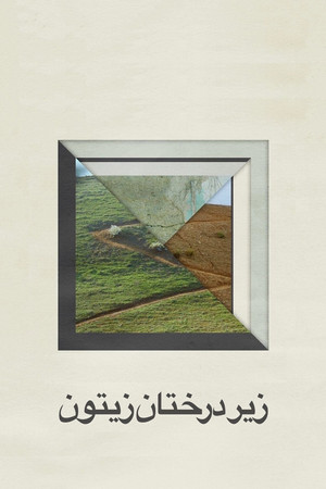 Сквозь оливы