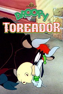 Droopy toréador
