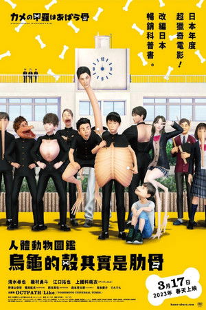 人體動物圖鑑：烏龜的殼其實是肋骨