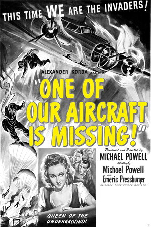 One of Our Aircraft Is Missing