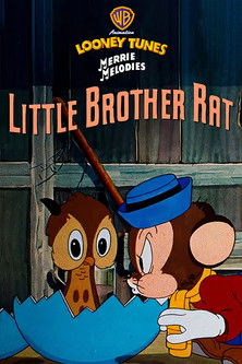 Little Brother Rat