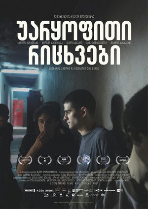 უარყოფითი რიცხვები