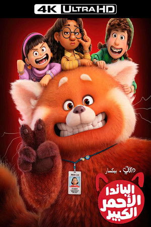 الباندا الأحمر الكبير