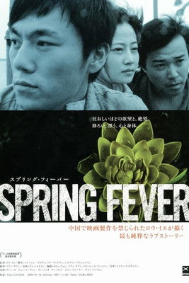 春风沉醉的夜晚