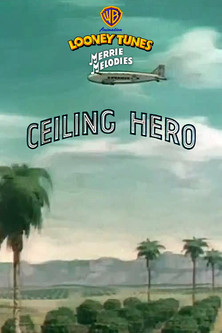Ceiling Hero