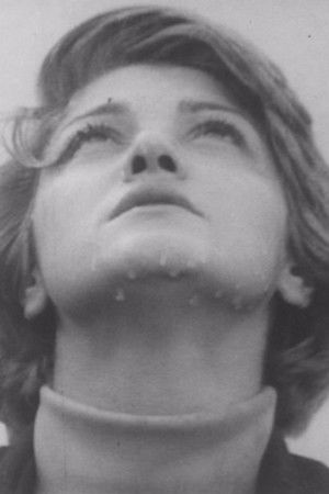 بهار پشت پنجره