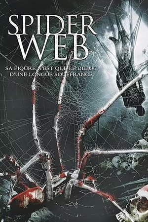Spider Web