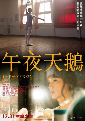 午夜天鵝