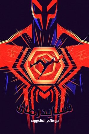 سبايدرمان: عبر عالم العنكبوت