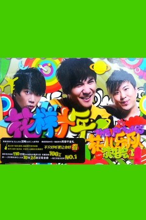 花儿乐队：花样十年演唱会