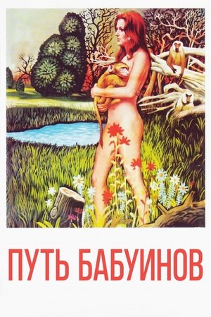 Путь бабуинов