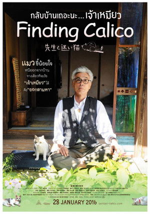 กลับบ้านเถอะนะเจ้าเหมียว