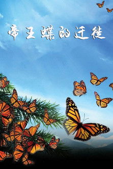 帝王蝶的遷徙