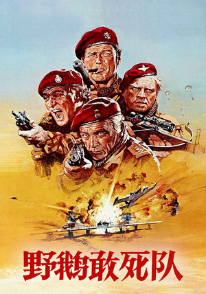 野雁突擊隊