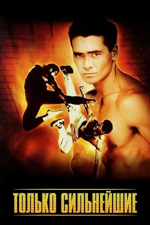 Только сильнейшие