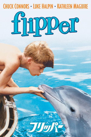 フリッパー