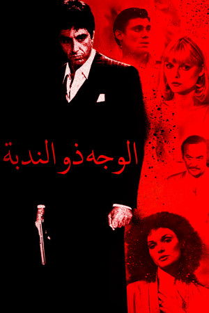 الوجه ذو الندبة