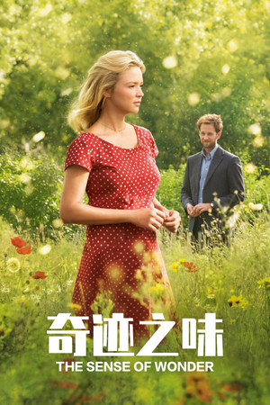 Le Goût des merveilles