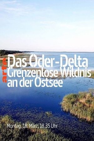 Das Oder-Delta - Grenzenlose Wildnis an der Ostsee