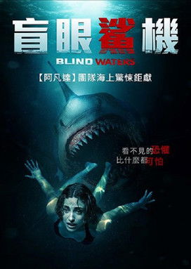 盲眼鯊機