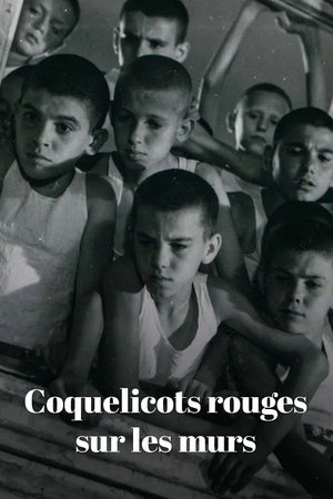 Coquelicots rouges sur les murs