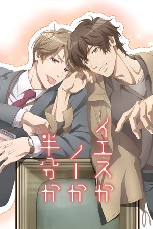 예스, 노 또는 반반