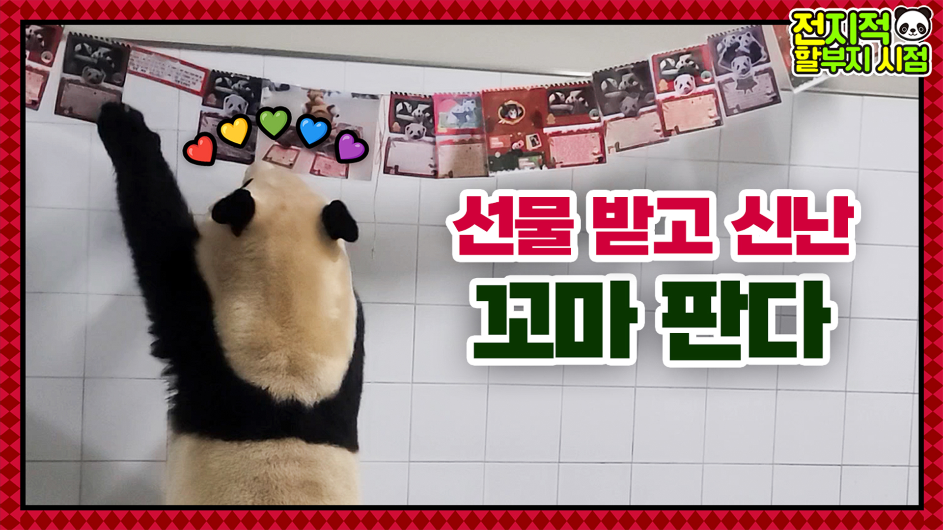 “굿바이 2022” 뿌딩이들이 보낸 카드를 보고 행복해하는 푸바오 15회