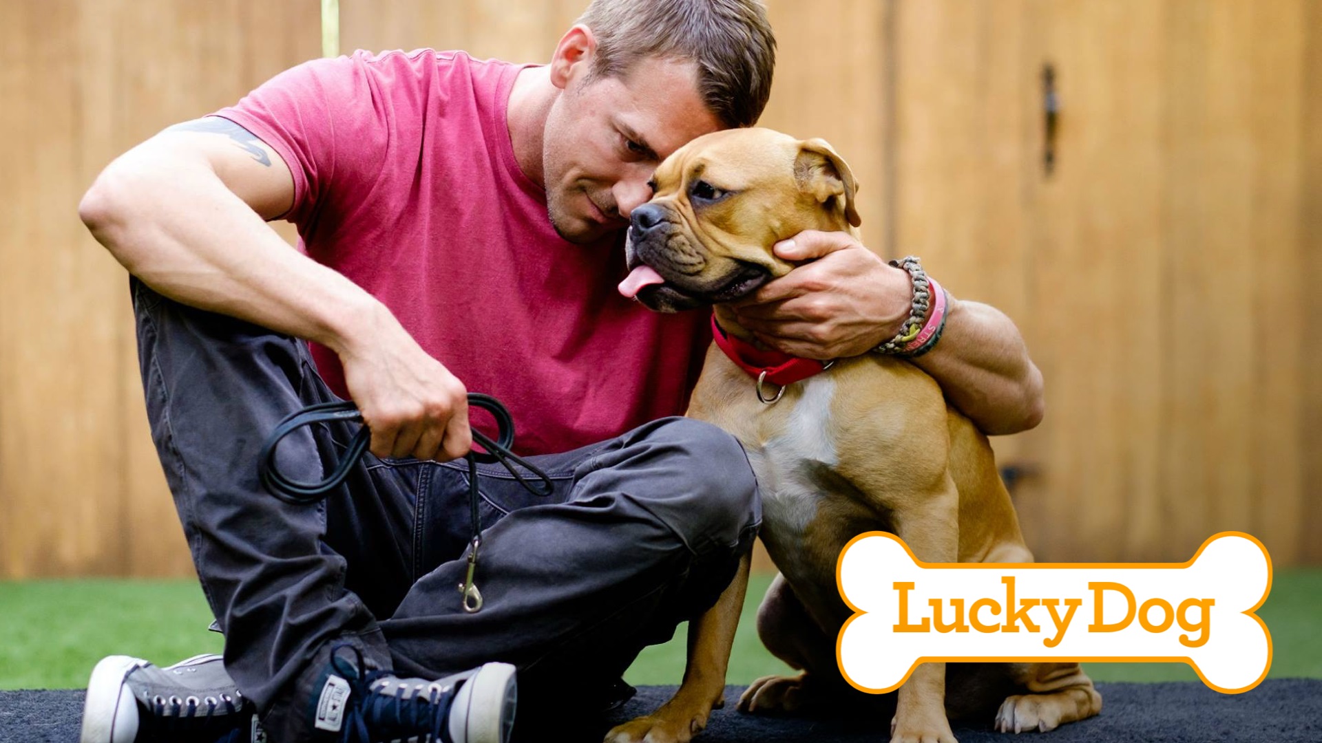 Lucky Dog