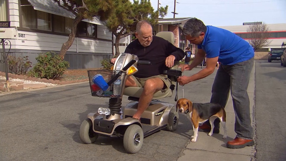 El encantador de perros