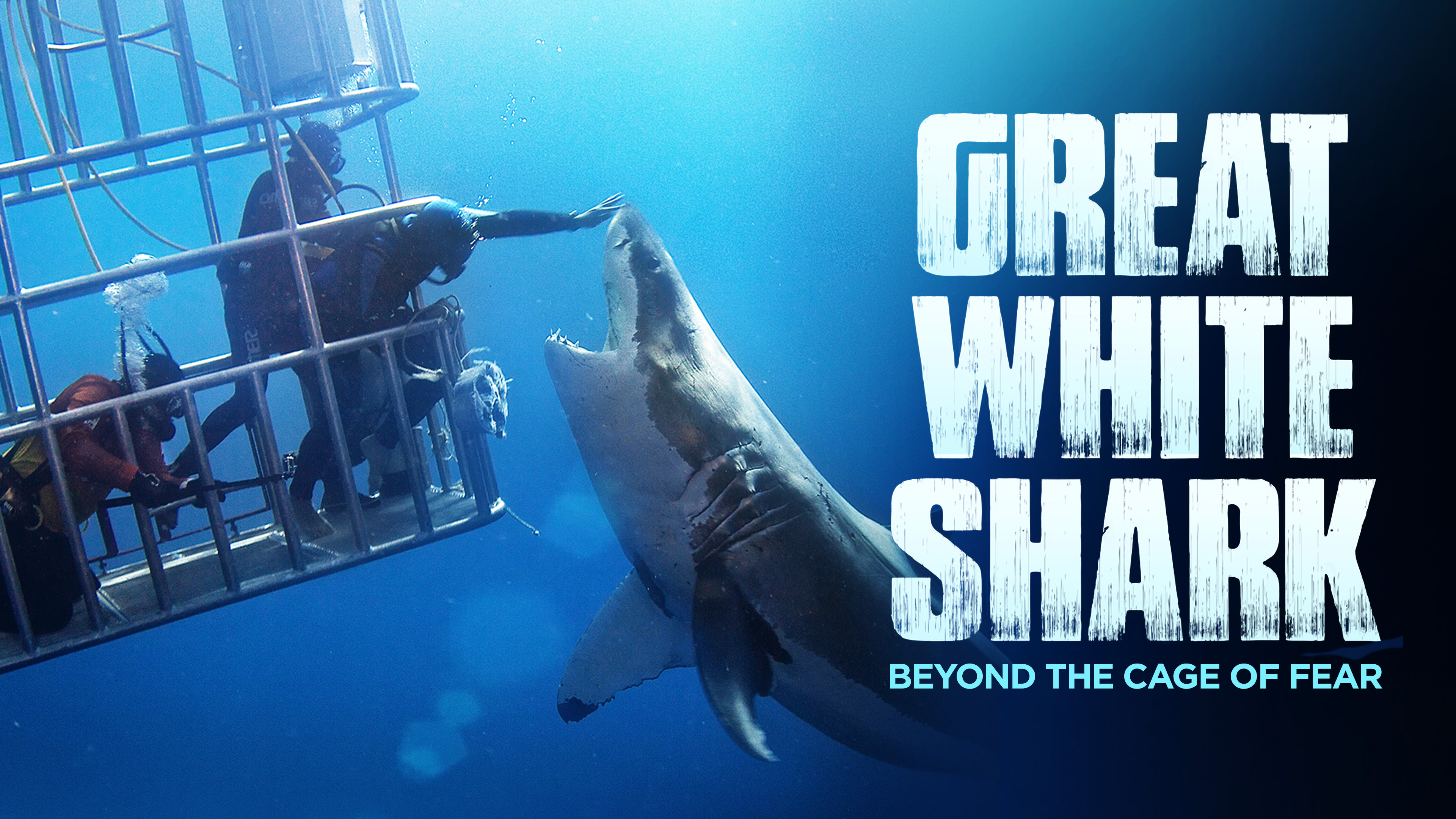 Great White Shark: Beyond the Cage of Fear