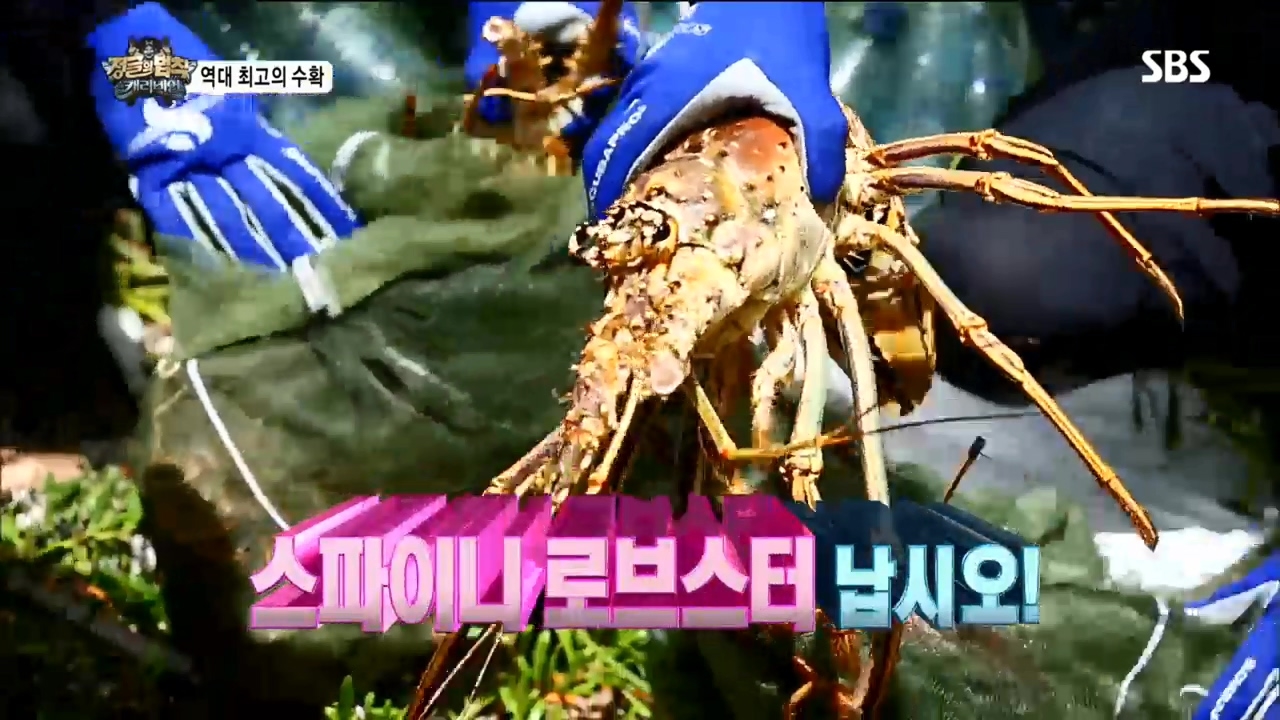 김병만의 정글의 법칙 74회