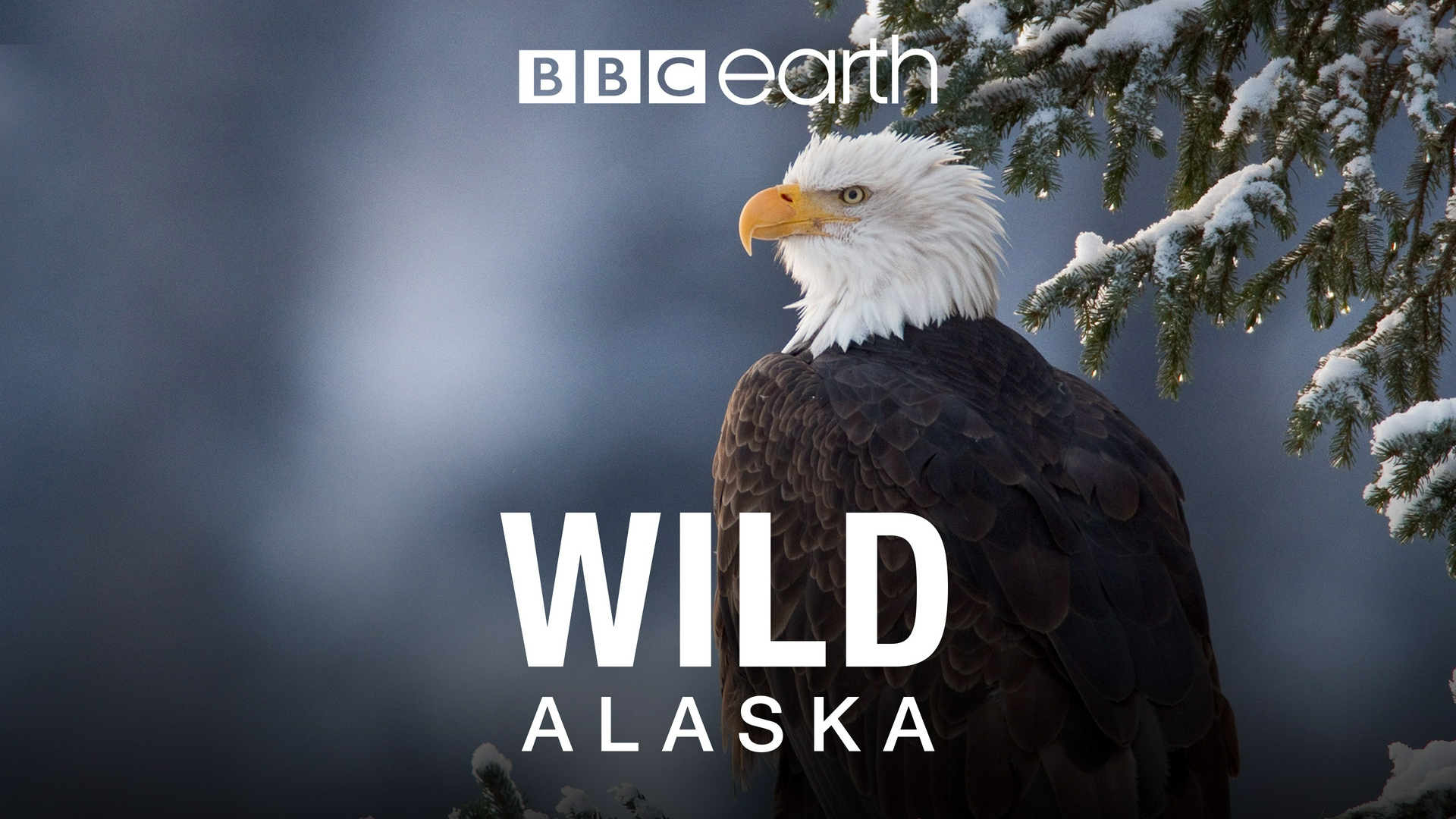 Wildes Alaska Eiswelten