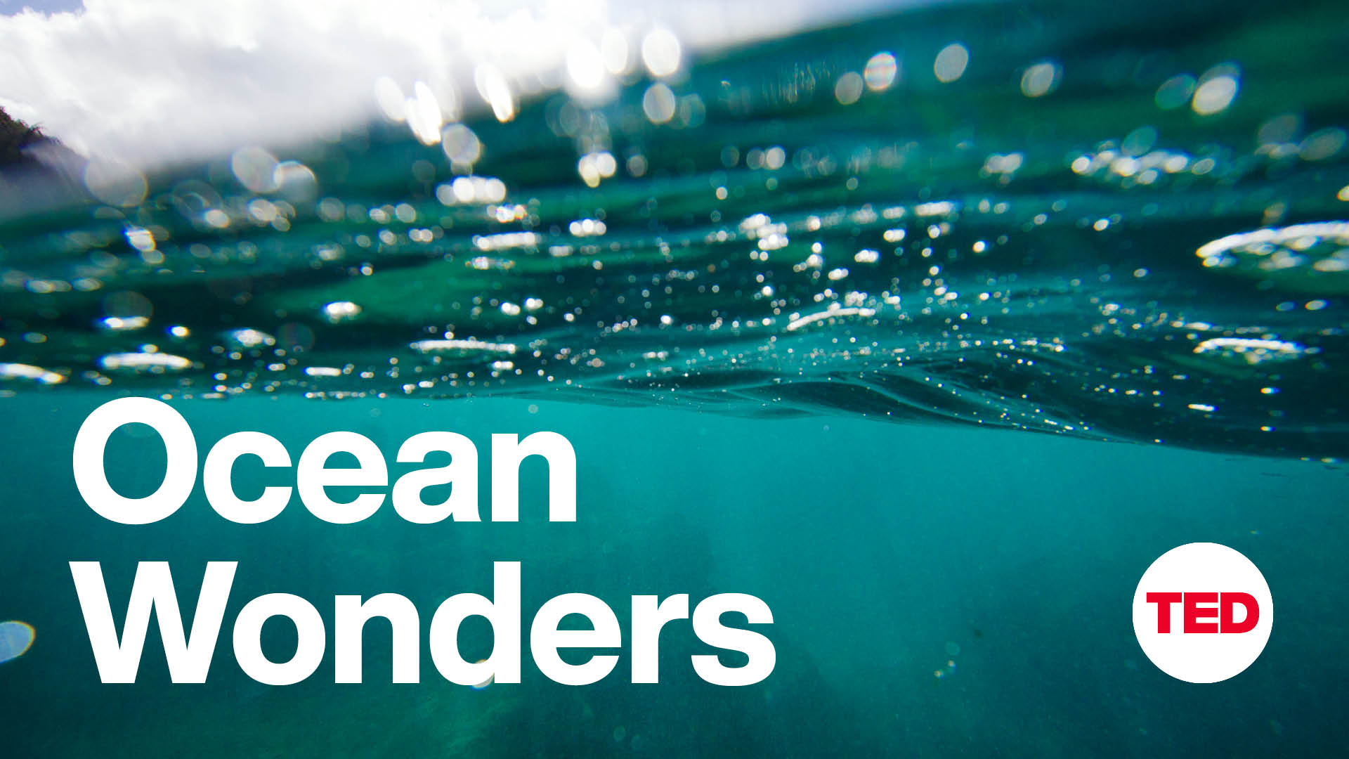 Ocean Wonders EP09