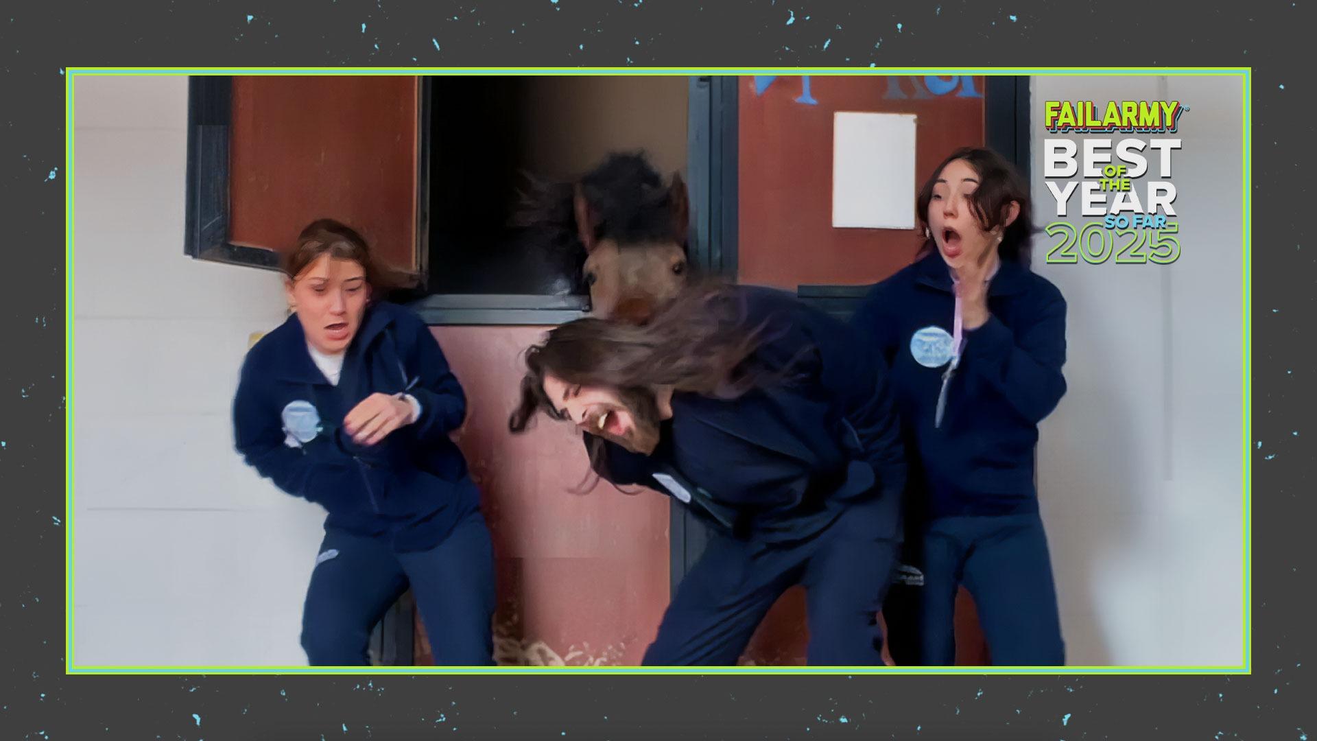 FailArmy Best of the Year 2024