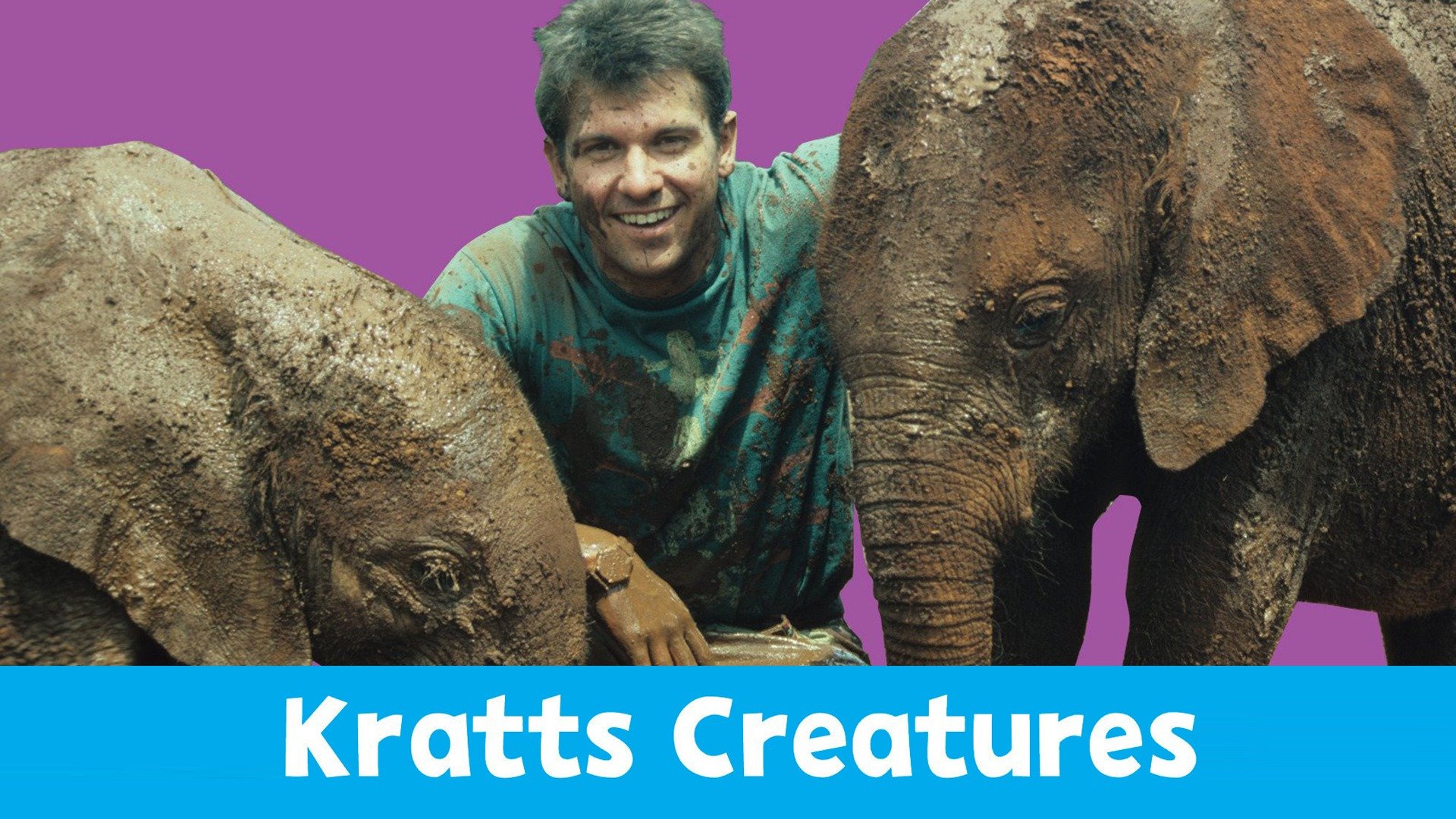 Kratts' Creatures