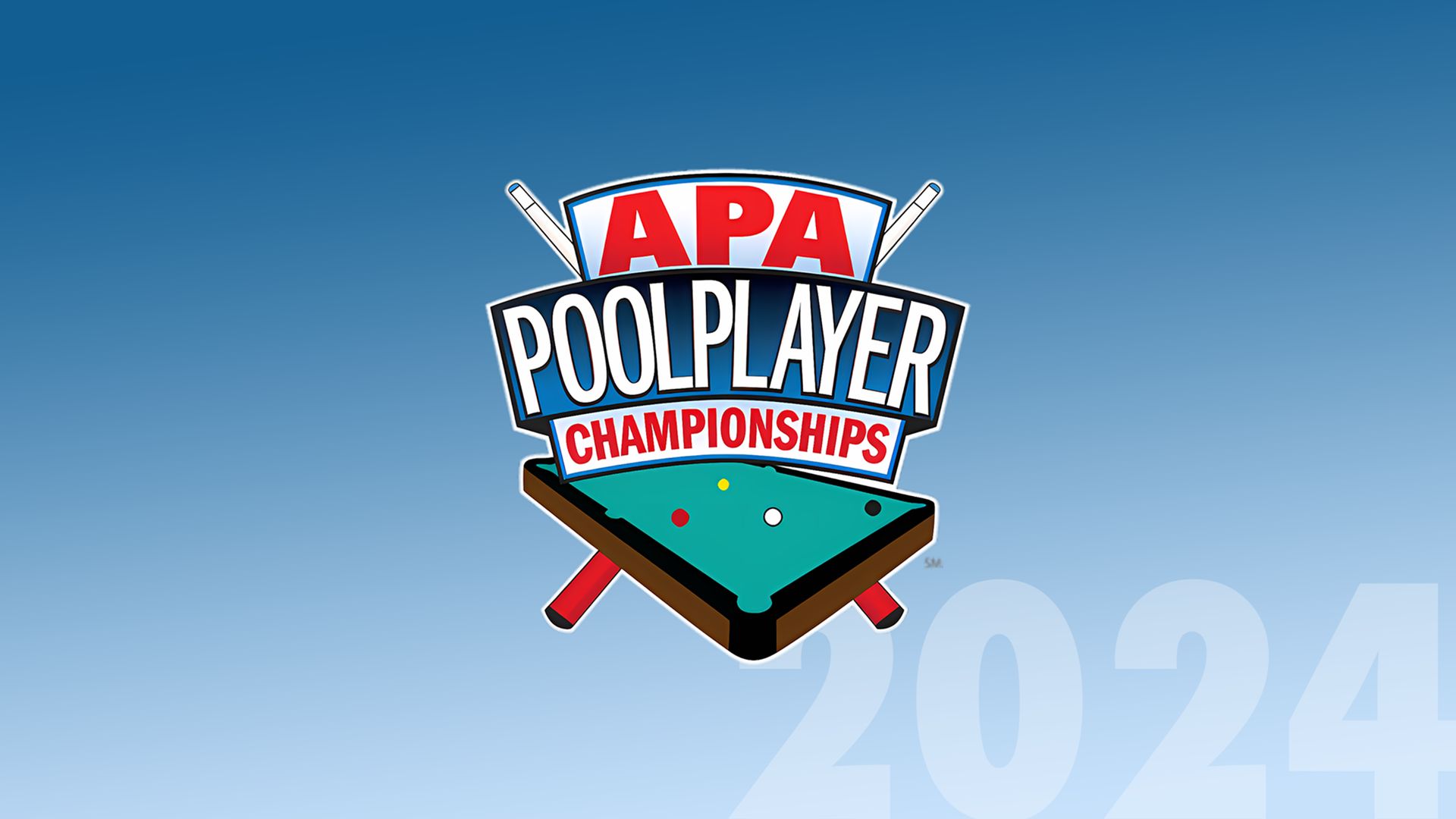 2024 American Poolplayers Association Poolplayer Championships