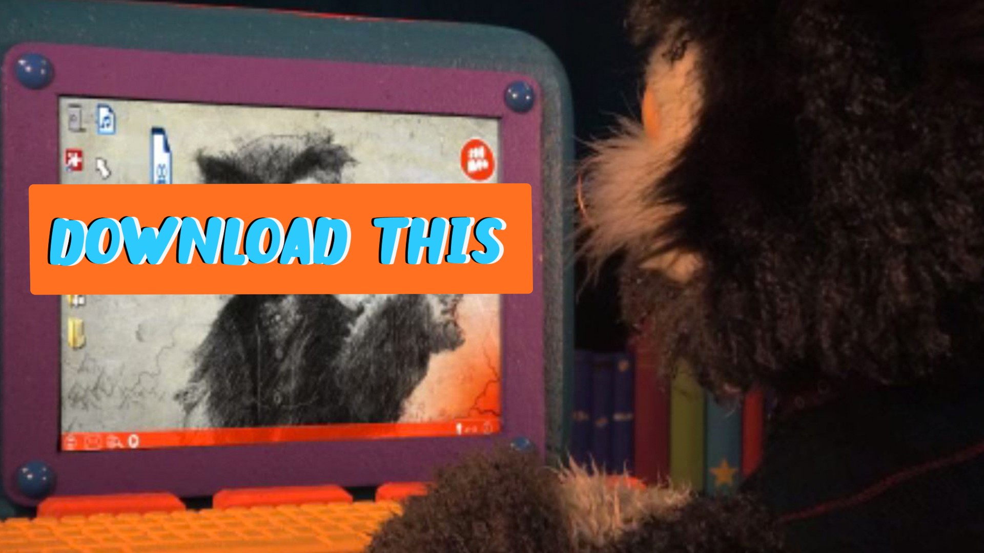 Lunar New Year Specials