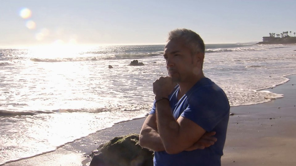 El encantador de perros