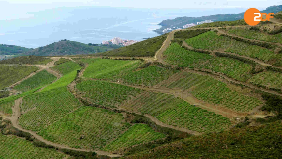 10 Winzer, Joachim Król und der Moissonnier