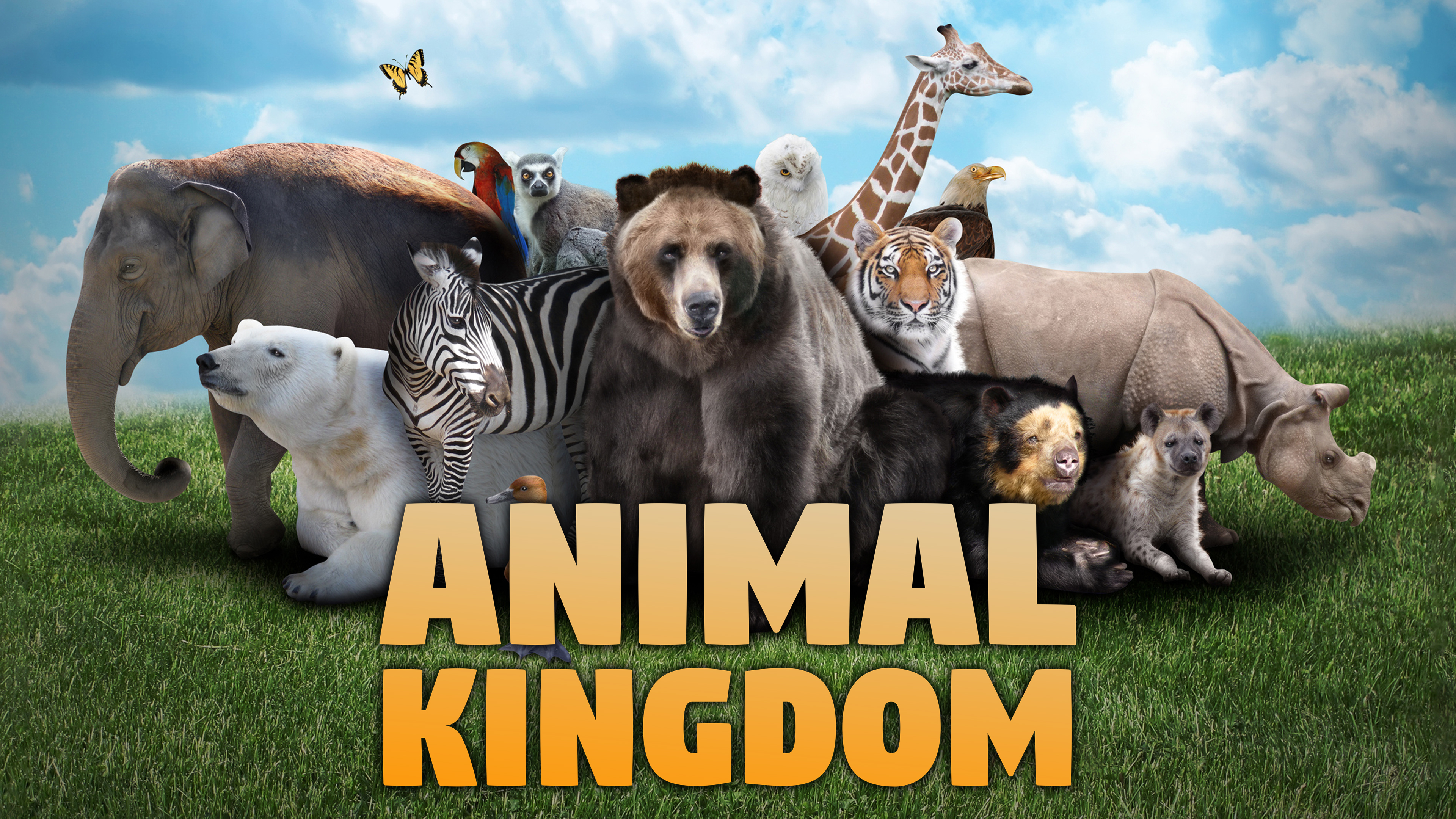 Animal Kingdom: A Tale of Six Families