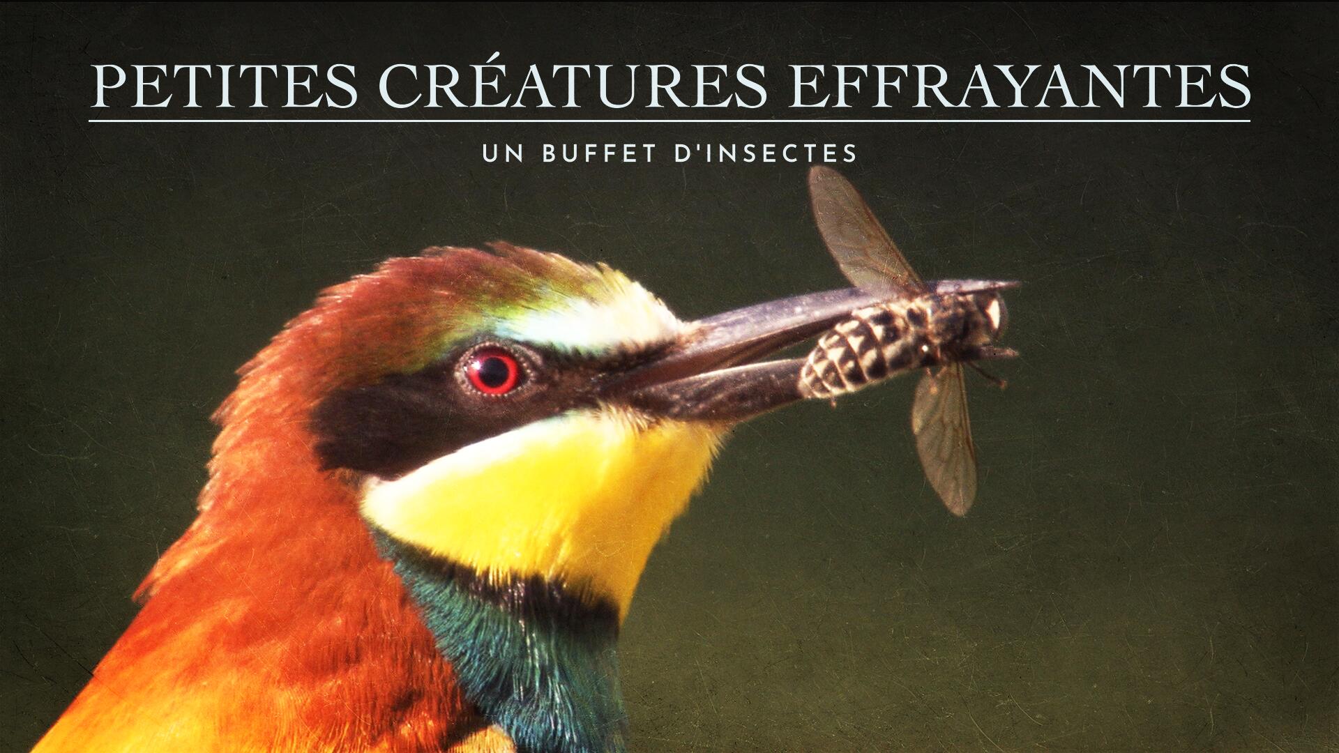 Petites Créatures Effrayantes