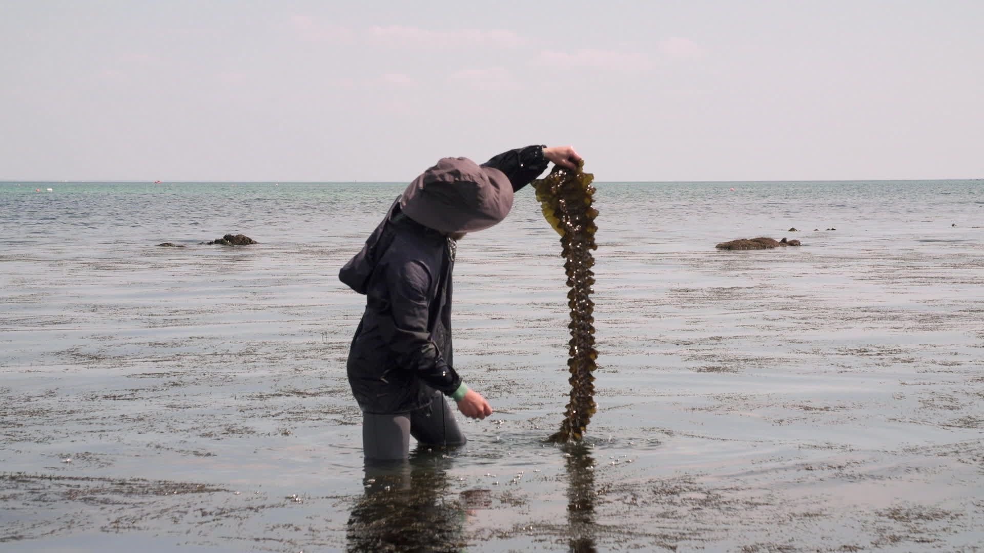 Itinéraires Paysans