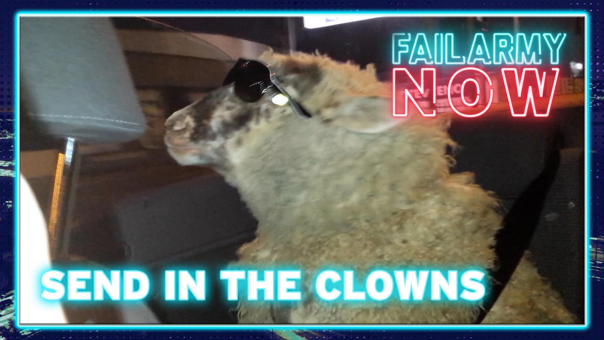 FailArmy Now