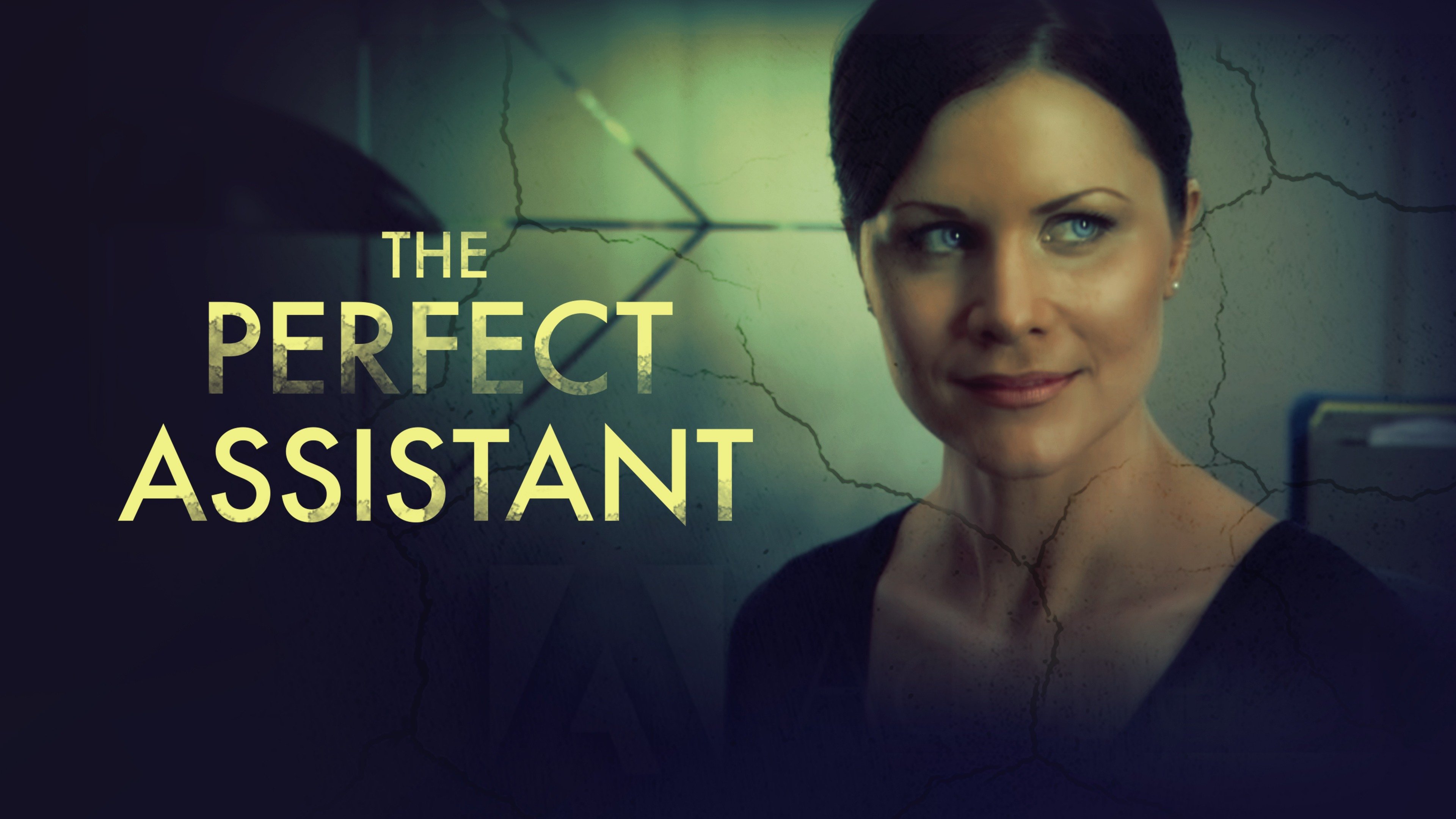 The Perfect Assistant