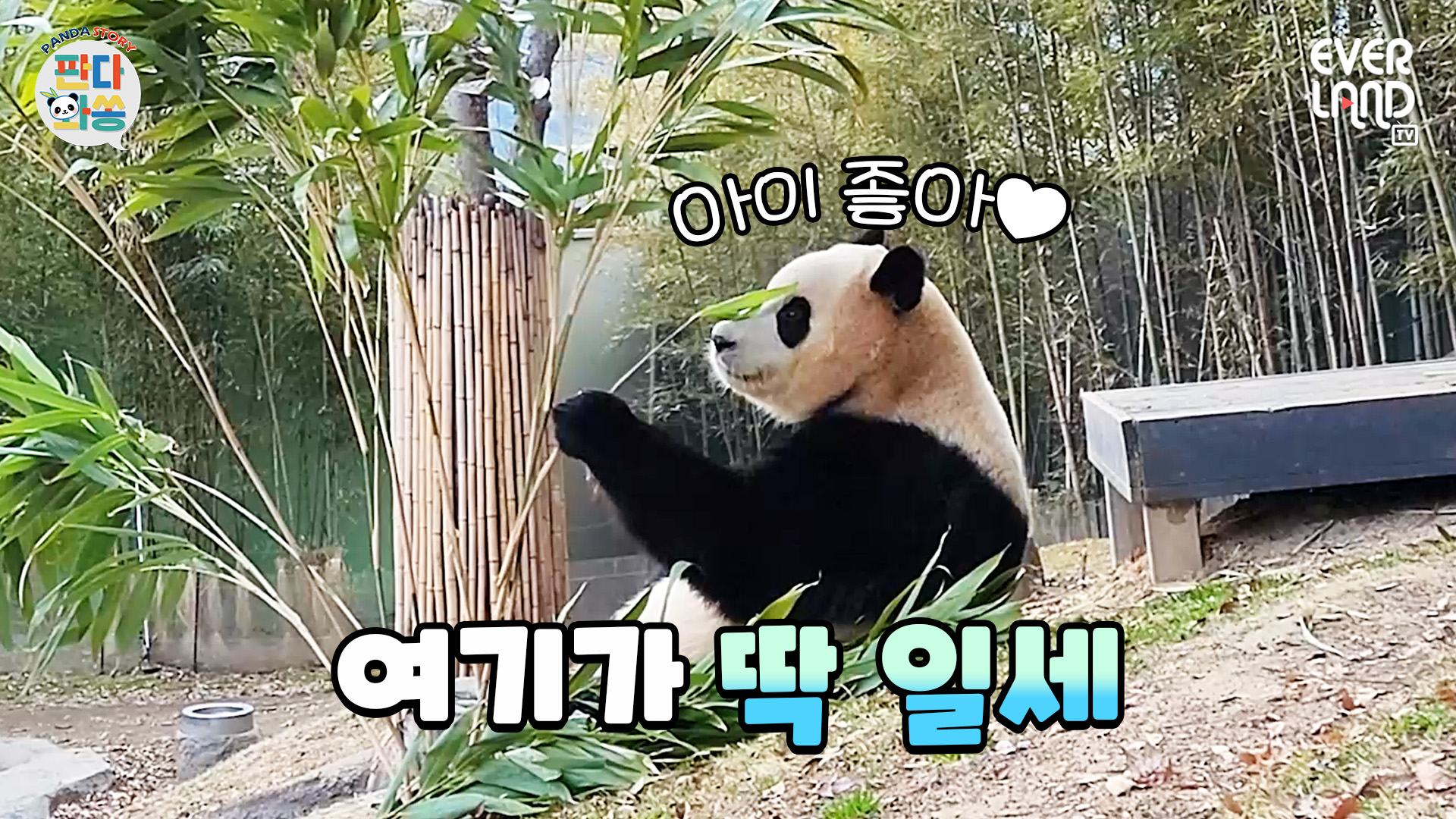 땅 보러 온 푸사장 89회