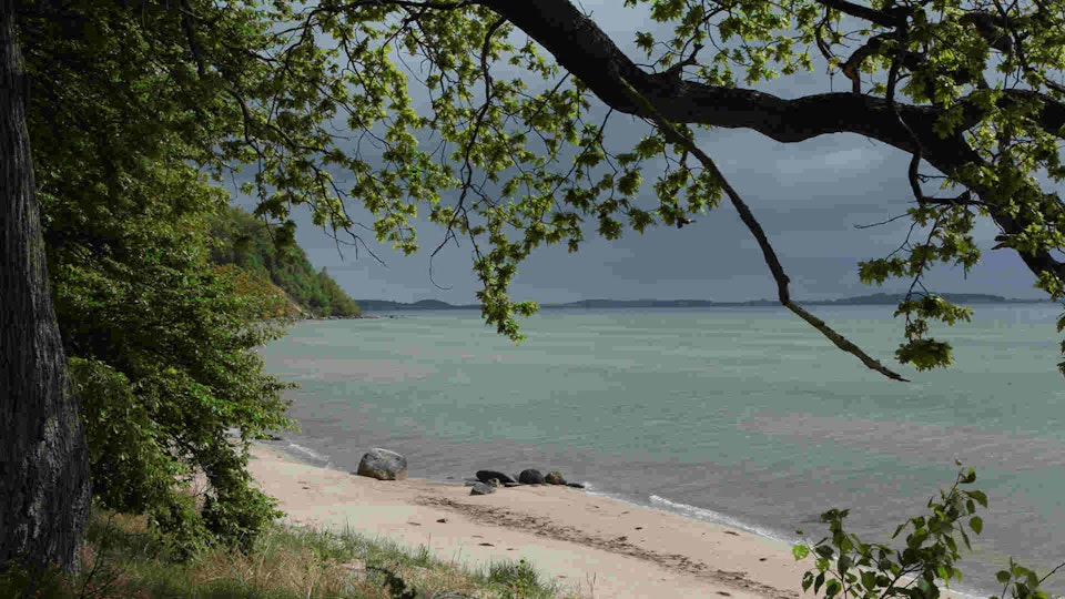 Wild Baltic Sea: Between Denmark and Latvia