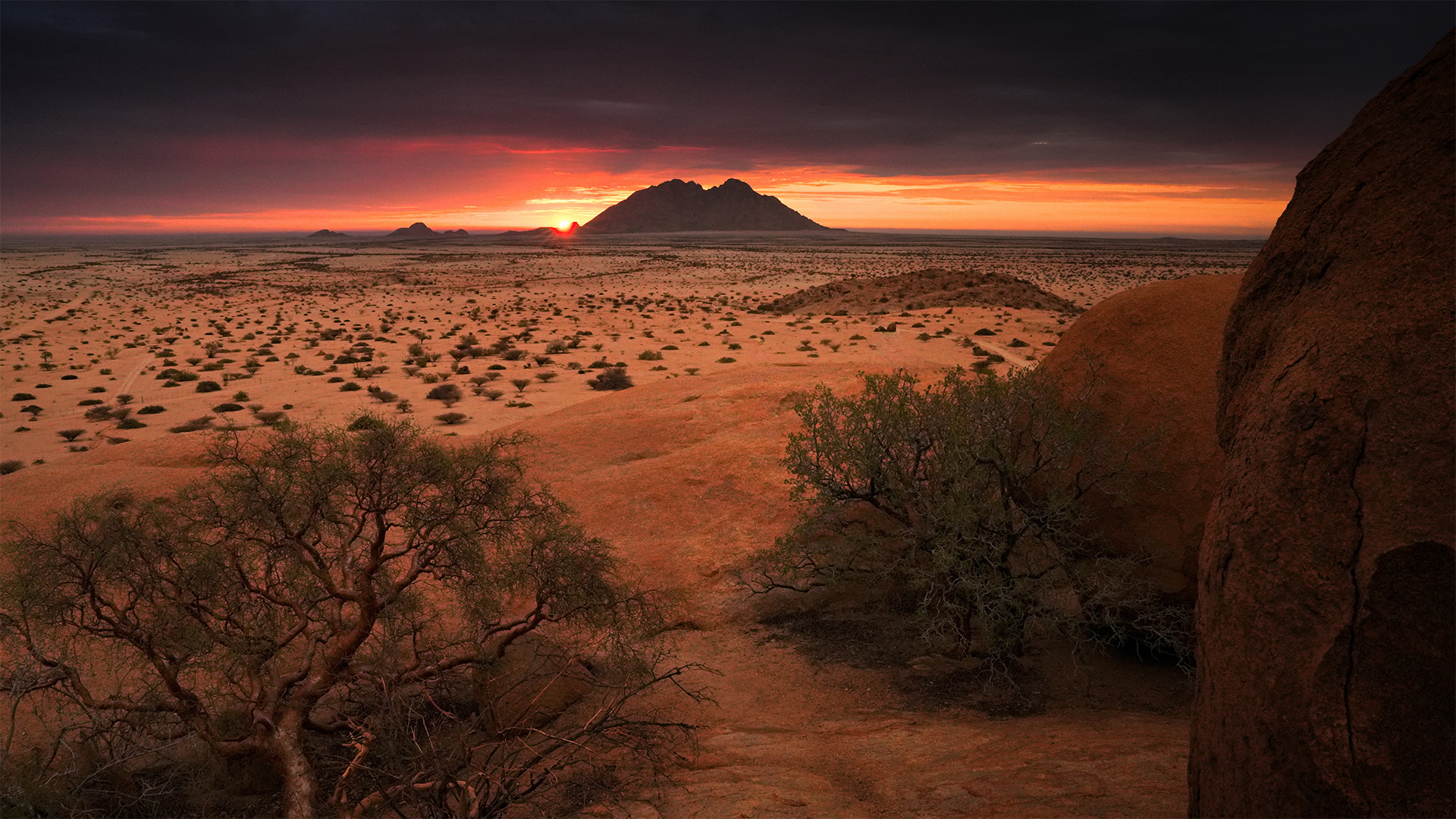 Roadtrip durch den Süden Afrikas