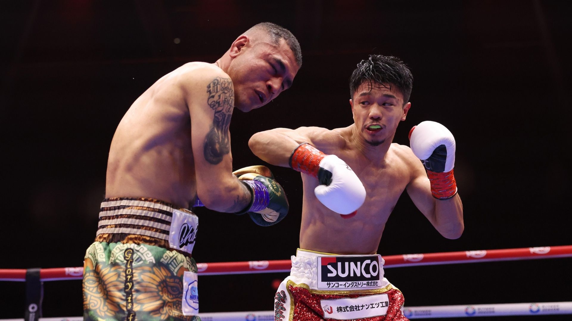 Nakatani vs. Hernandez (2025)
