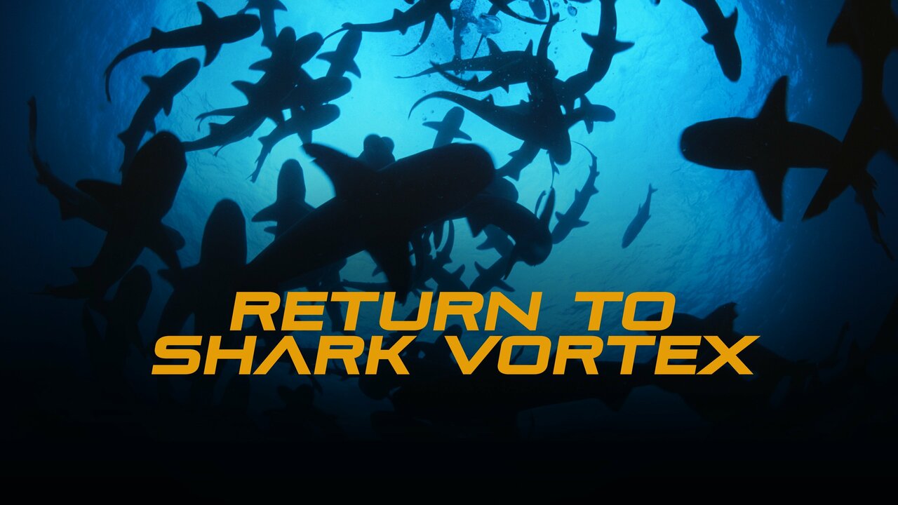 Return to Shark Vortex