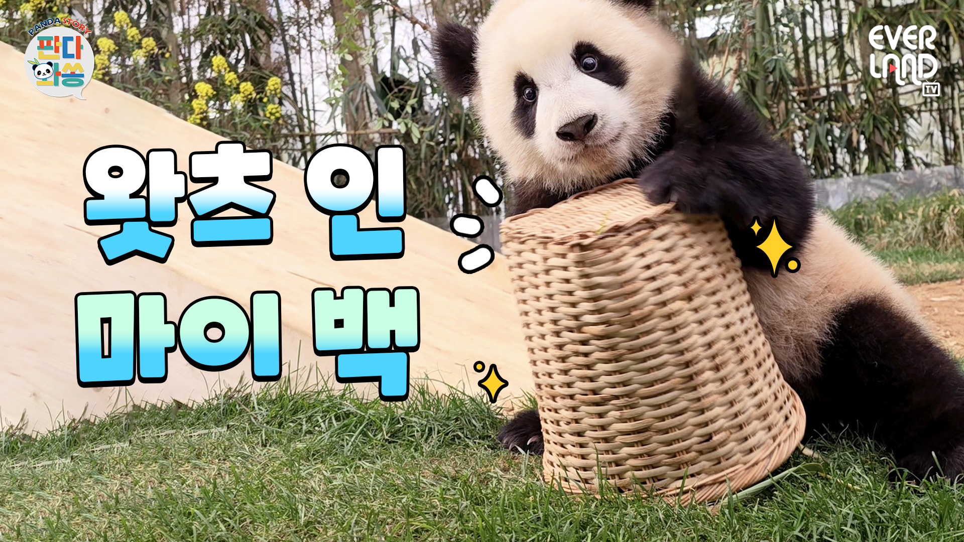 바구니를 대하는 그녀들의 온도 차! 루이&후이 153회